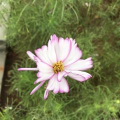 龙门山庄 User Photo