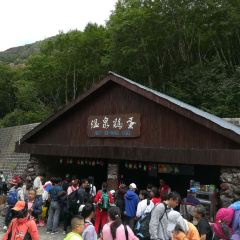 温泉鸡蛋小摊 User Photo