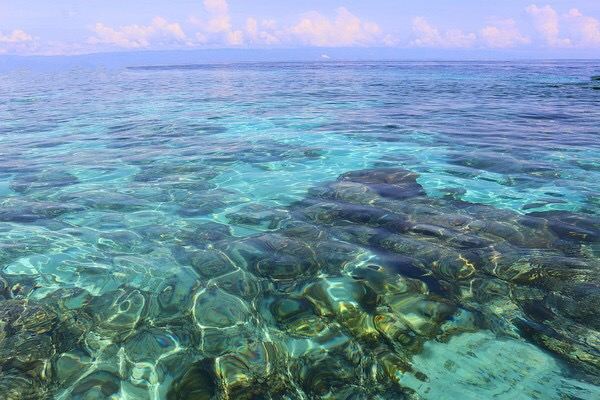 Balicasag Island