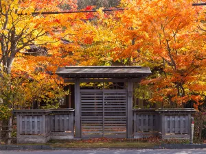 Oirase-keiryū gorge