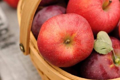 PAN GE LIA ROU XIE BAO