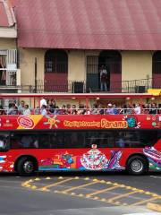 City Sightseeing Bus