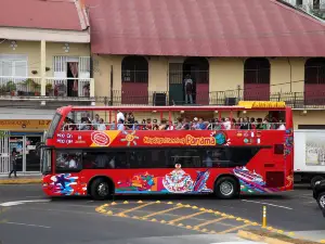 City Sightseeing Bus