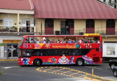 City Sightseeing Bus