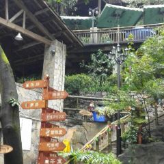 巴倒燙重慶陸派火鍋（南山總店）張用戶圖片