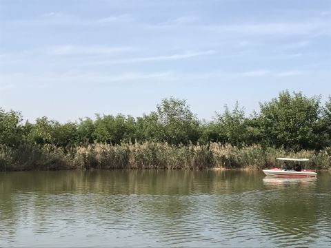 Qingshan Xiushui Tourism Resort
