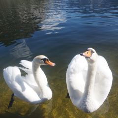 KAMPA PARK User Photo