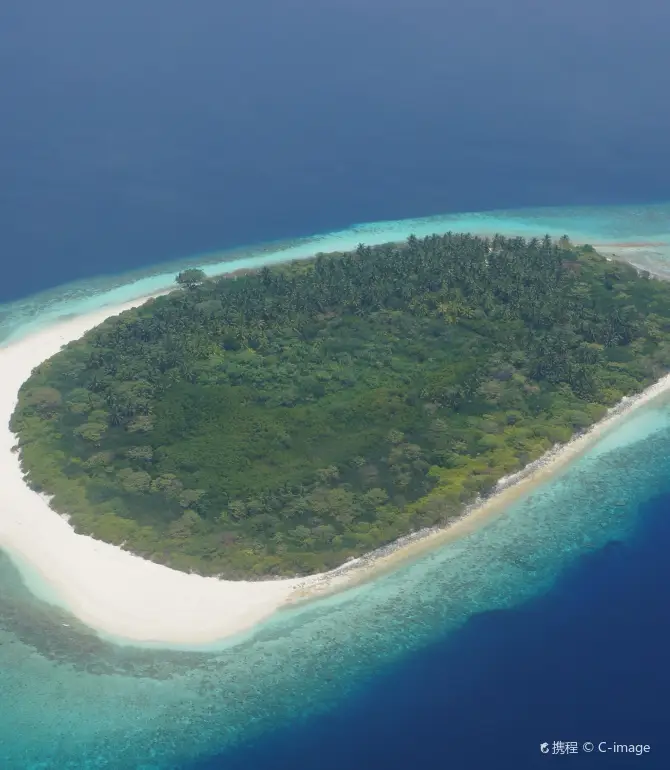 Meedhupparu