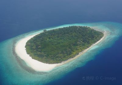 Meedhupparu