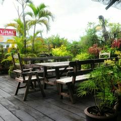 Natural Restaurant User Photo