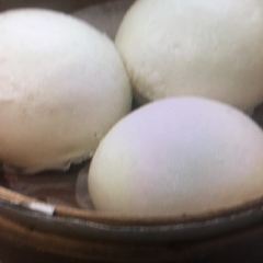 養心茶樓 User Photo