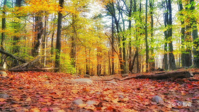 Monadnock State Park