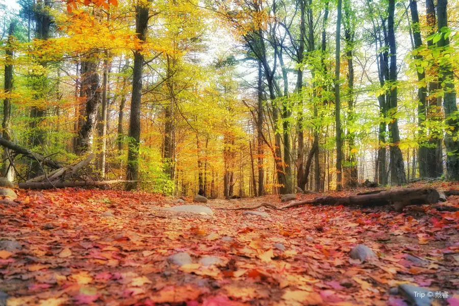 Monadnock State Park