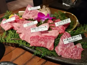 Matsusakagyu Yakiniku M HOZENJI YOKOCHO