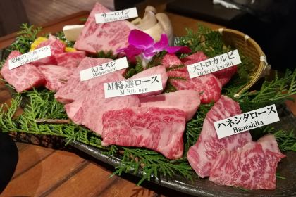 Matsusakagyu Yakiniku M HOZENJI YOKOCHO