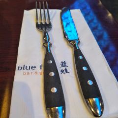Blue Frog (Aqua City) User Photo