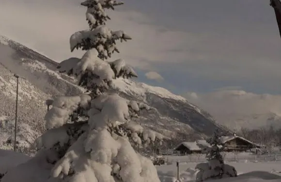 特里裏住宿加早餐旅館