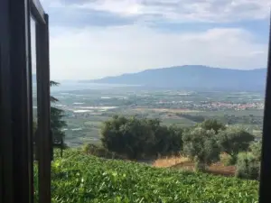 Agriturismo Bardari Restaurant