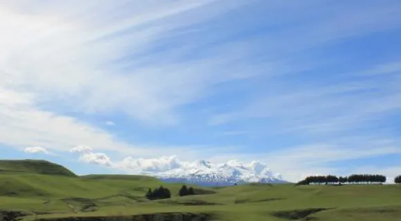 The Clyde Restaurant & Bar