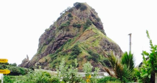 Piha Store