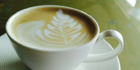 carino cafe & restaurant