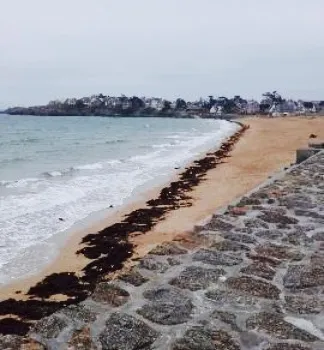 Le Surf de Joséphine