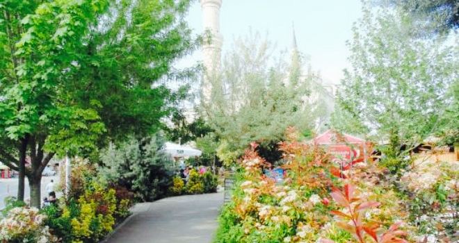 Meydan Cafe