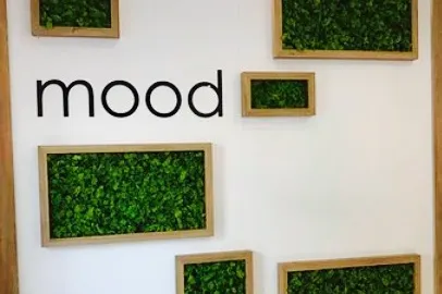 Mood Coffee & Ice Cream in 菲烏吉