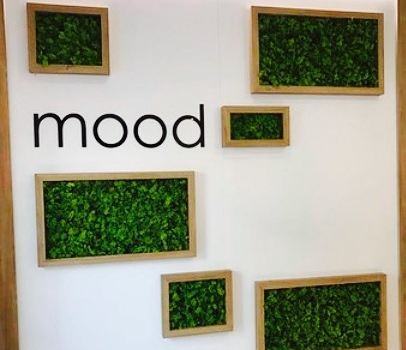 Mood Coffee & Ice Cream