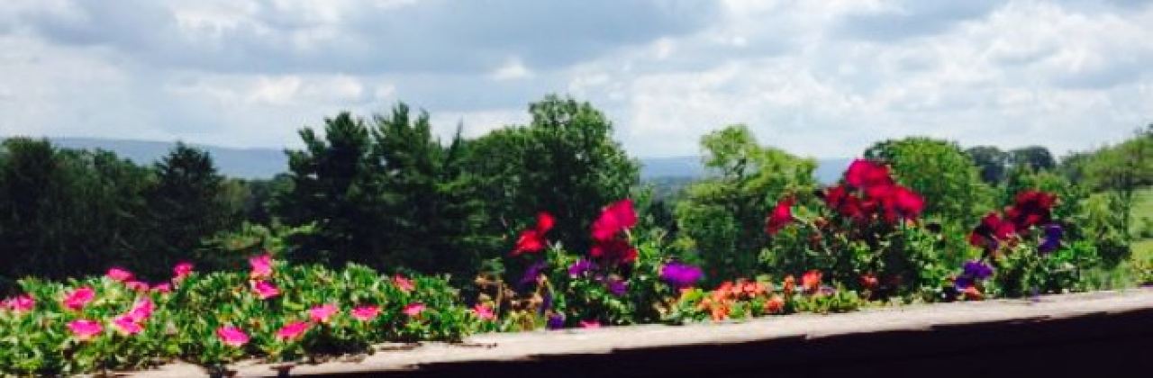 Out of the Fire Cafe