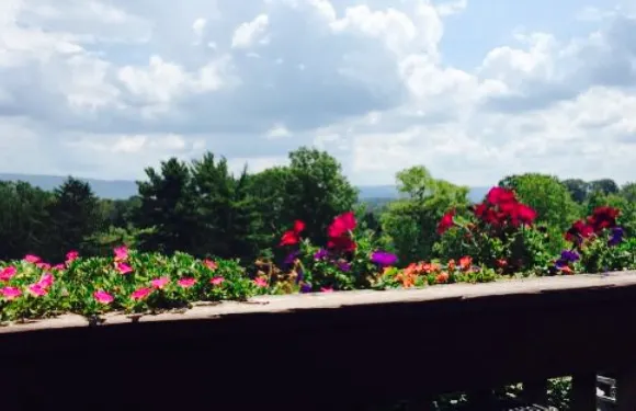 Out of the Fire Cafe