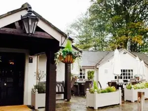 The Green Dragon