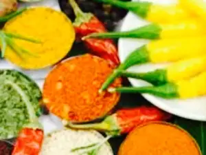 Bengal Spice
