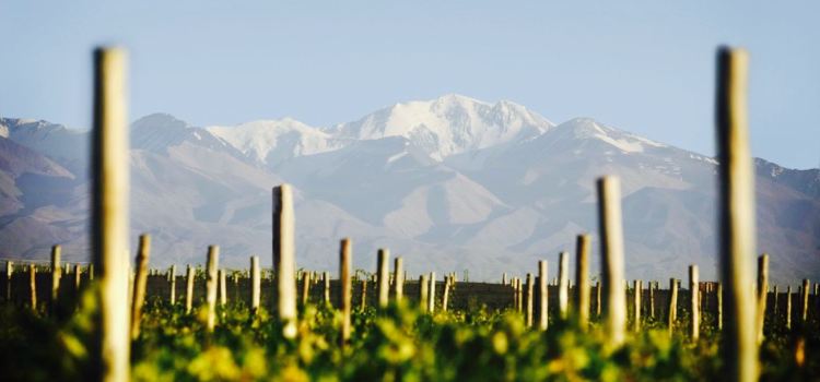 Domaine Bousquet - Restaurante Gaia