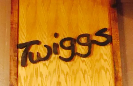 Twiggs
