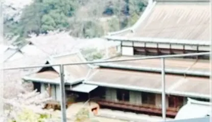 Flower Watching Seibo Nukiri