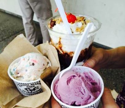 Peaceful Meadows Ice Cream