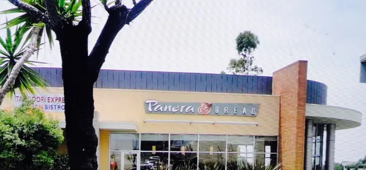 Panera Bread