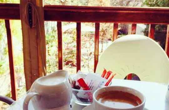 Cafe D'Vine