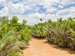 Delta del Mekong