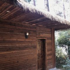 云起草堂(白云山森林公园店) User Photo