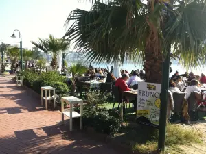 The Lemon Tree Restaurant