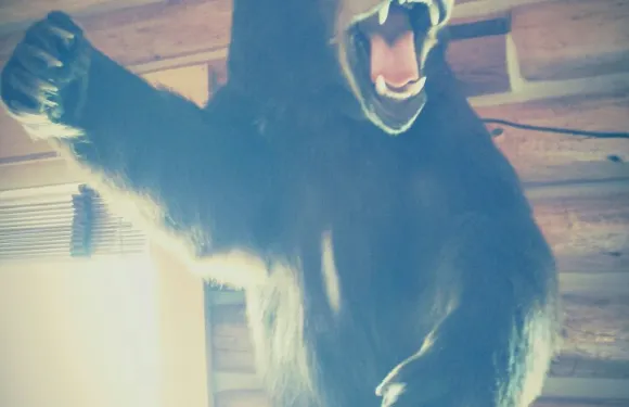 Heart Six Guest Ranch Restaurant