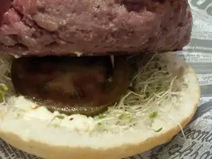Gastro Burger