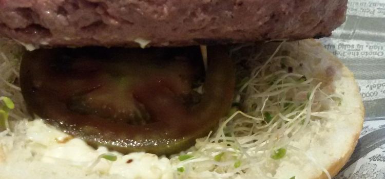 Gastro Burger