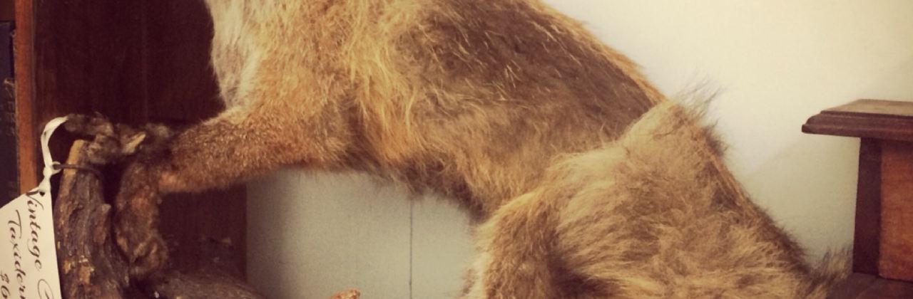 Woolloongabba Antique Centre