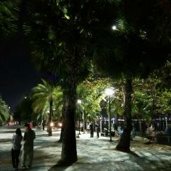 Green Tree Rest. & Pub User Photo