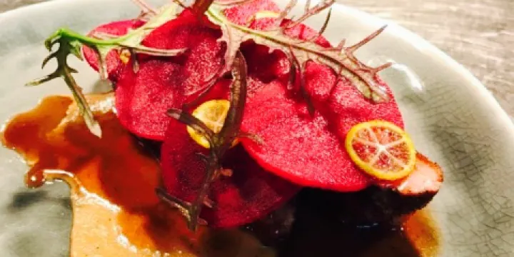 Songbirds in the Forest - Rainforest Retreat