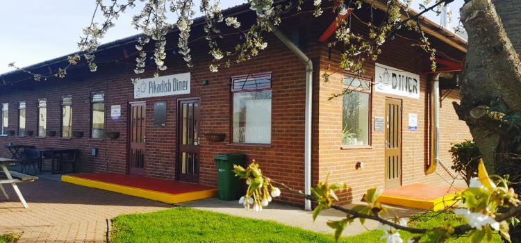 The Pikadish Diner