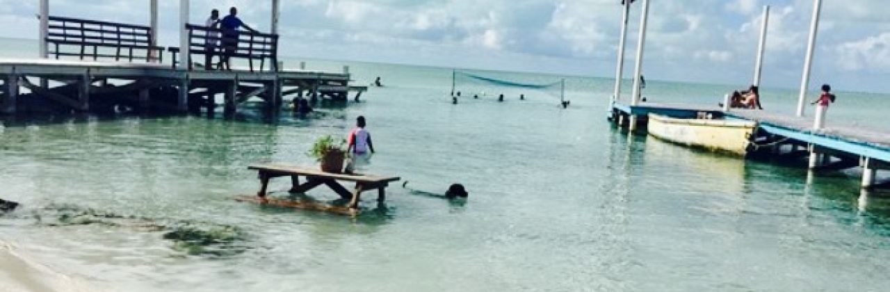 Pirate's Not-So-Secret Beach Bar & Grill